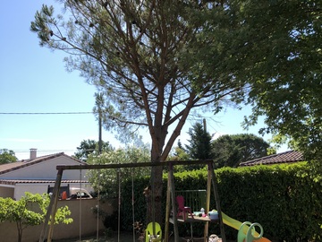 abattage d'arbre plaisance du touch