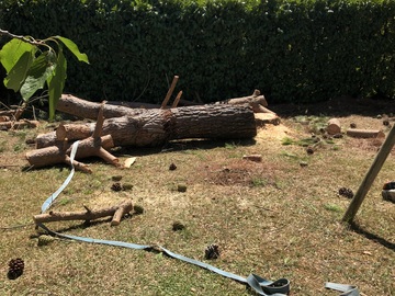 Jardinier à Plaisance du Touch