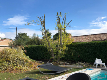 Elagage à Plaisance du Touch