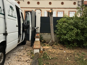 Abattage d'arbre Toulouse